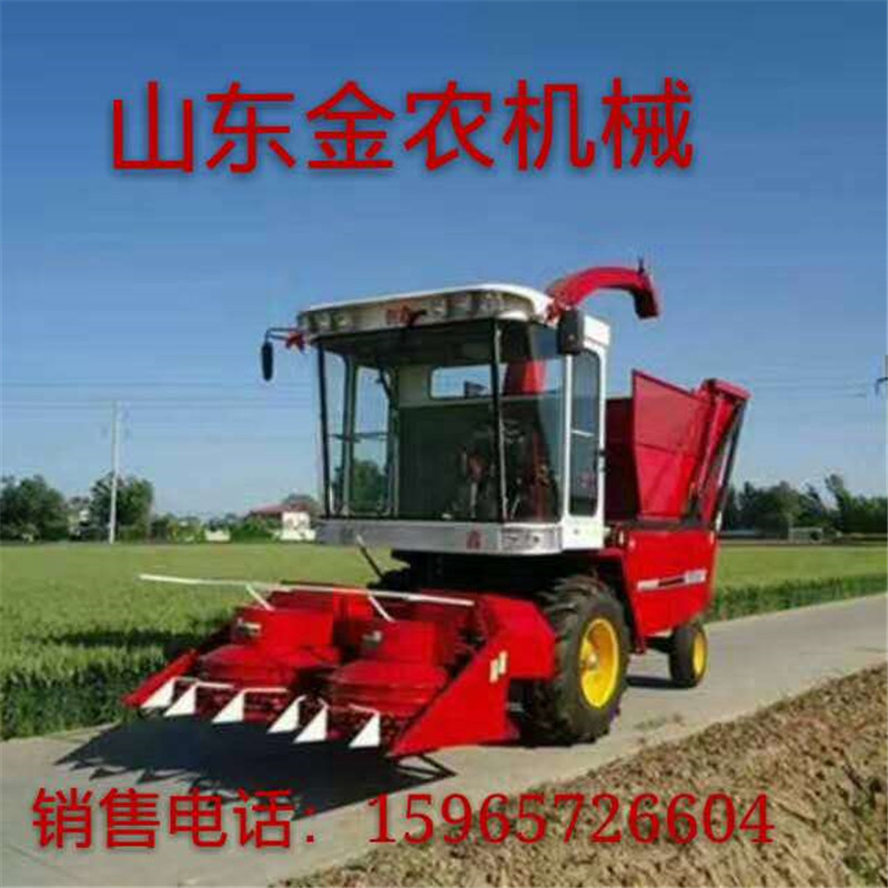 玉米秸稈圖片/玉米秸稈樣板圖 (3)