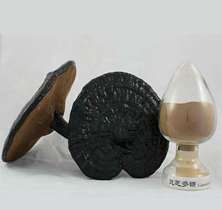 方格*靈芝提取物