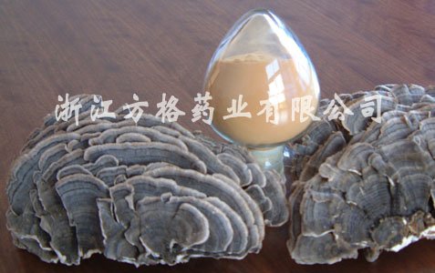 云芝提取物圖片/云芝提取物樣板圖 (1)