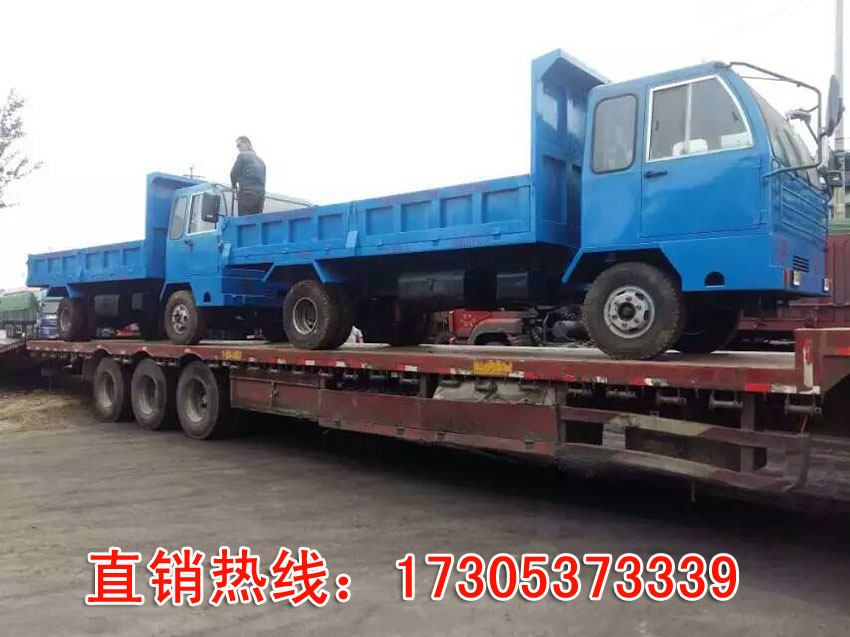 福建四輪四不像車(chē)四不像車(chē)?yán)淋?chē)圖片/福建四輪四不像車(chē)四不像車(chē)?yán)淋?chē)樣板圖 (3)