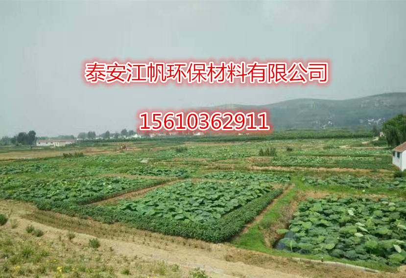 藕池防滲土工膜圖片/藕池防滲土工膜樣板圖 (2)