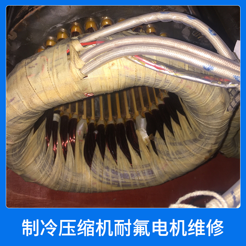 制冷壓縮機耐氟電機維修圖片/制冷壓縮機耐氟電機維修樣板圖 (2)
