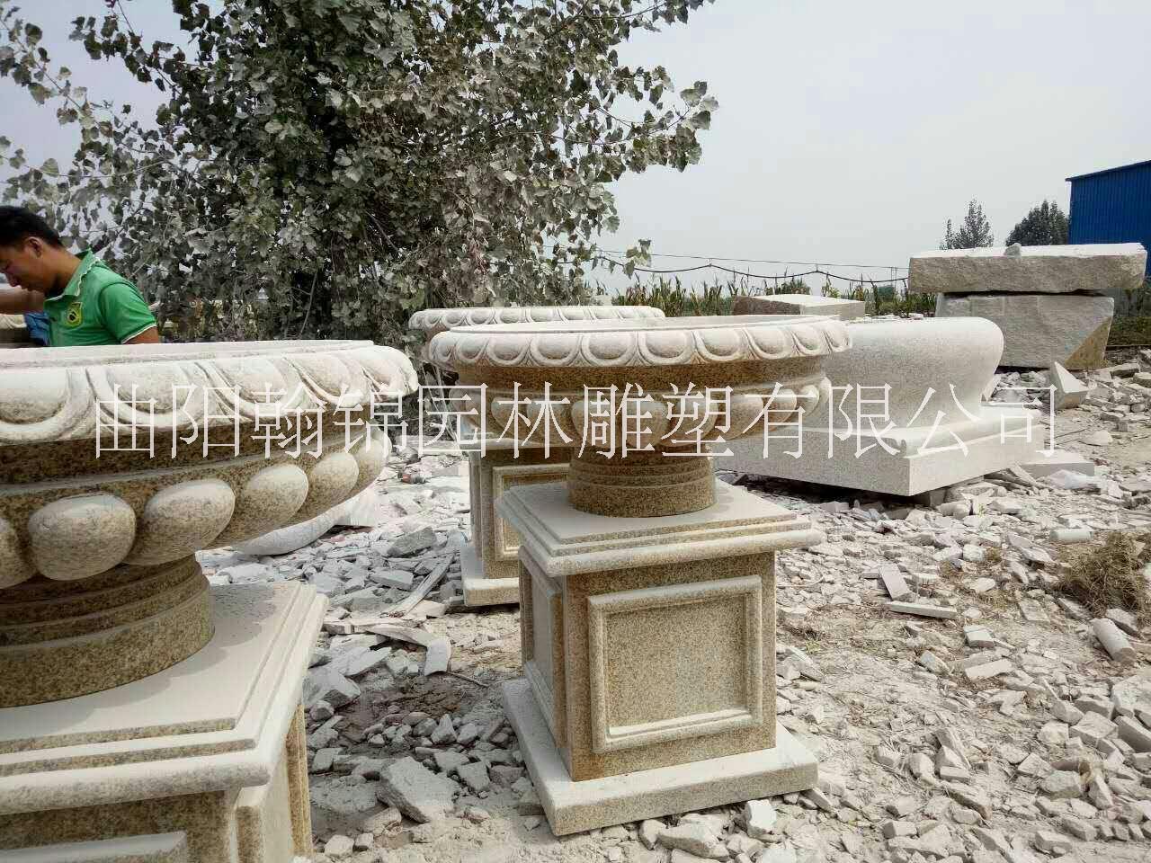 花缽花盆圖片/花缽花盆樣板圖 (2)