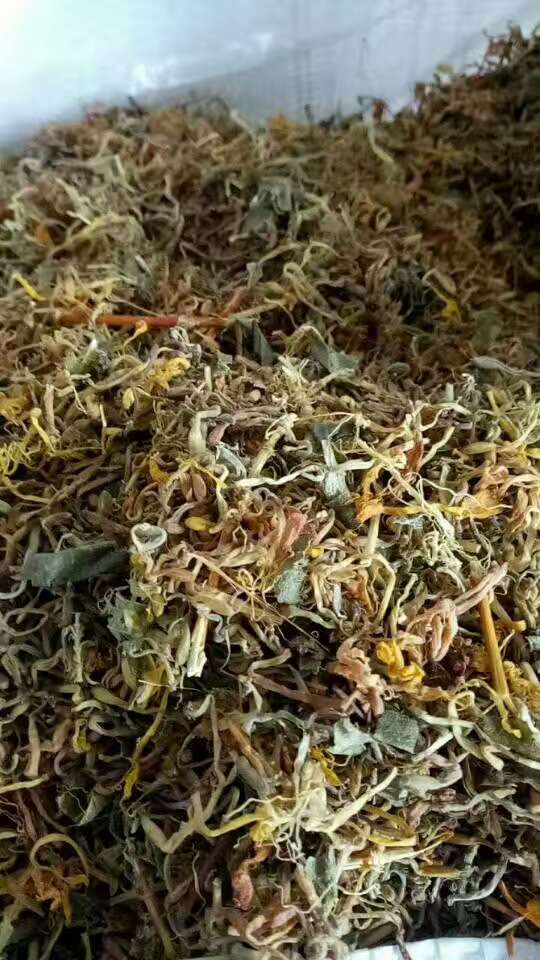 金銀花茶圖片/金銀花茶樣板圖 (2)