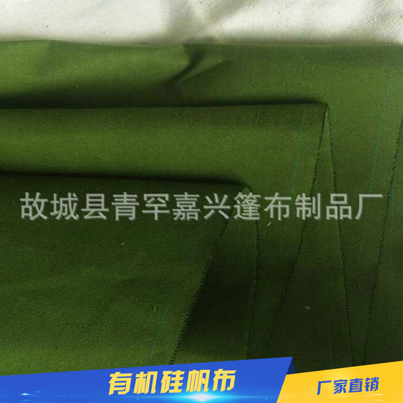 有機(jī)硅帆布圖片/有機(jī)硅帆布樣板圖 (2)