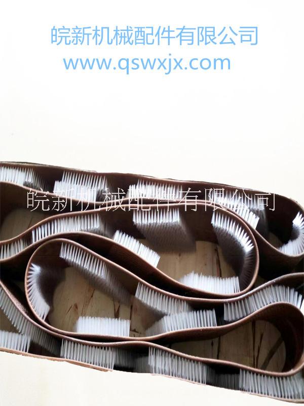 皮帶刷圖片/皮帶刷樣板圖 (1)