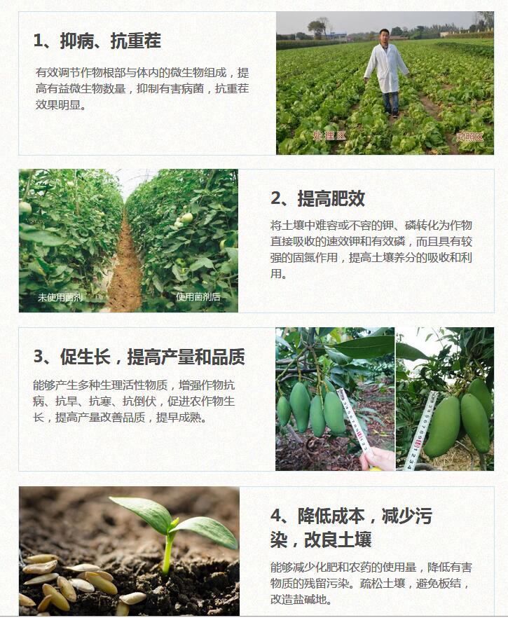 微生物菌劑圖片/微生物菌劑樣板圖 (4)