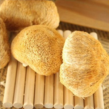東北特級運(yùn)福有機(jī)猴頭菇500g散裝猴頭蘑