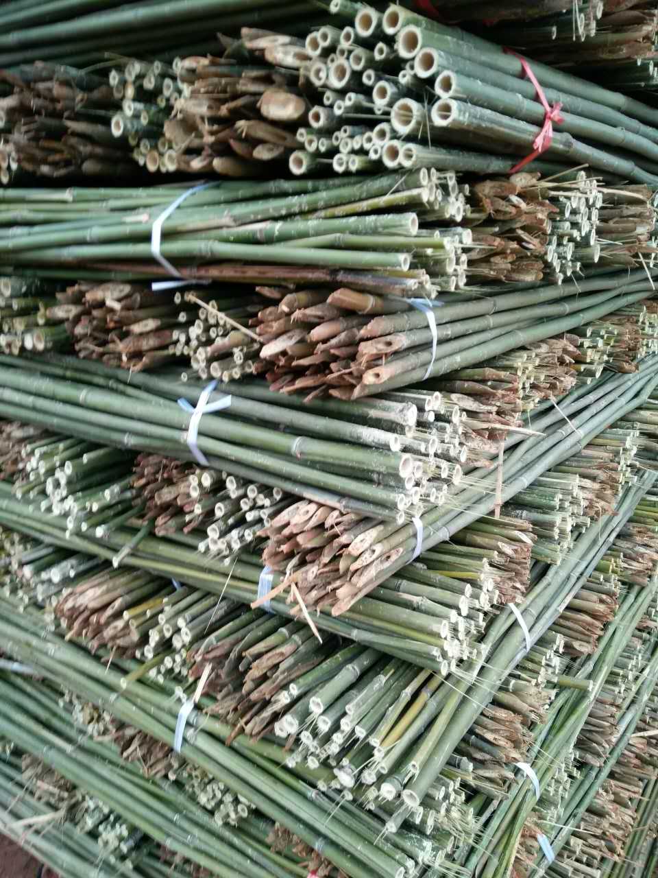 遼寧竹架板圖片/遼寧竹架板樣板圖 (4)