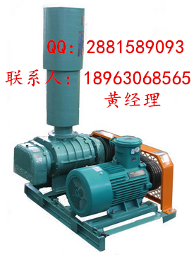 天津羅茨風(fēng)機(jī)圖片/天津羅茨風(fēng)機(jī)樣板圖 (3)