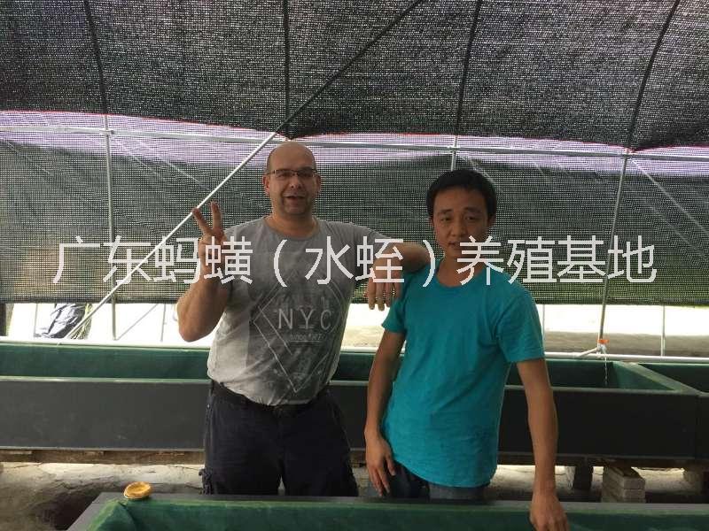 幼苗圖片/幼苗樣板圖 (4)