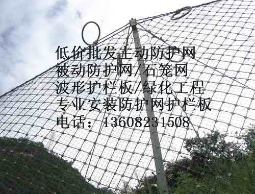 防護(hù)網(wǎng)圖片/防護(hù)網(wǎng)樣板圖 (2)