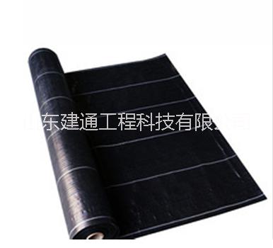 防草布廠家圖片/防草布廠家樣板圖 (1)