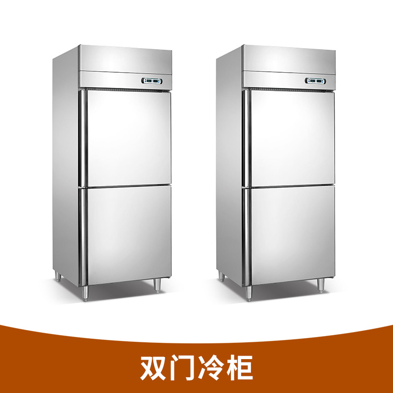 雙門冷柜圖片/雙門冷柜樣板圖 (3)