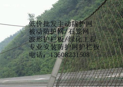 SNS被動防護(hù)網(wǎng)圖片/SNS被動防護(hù)網(wǎng)樣板圖 (2)