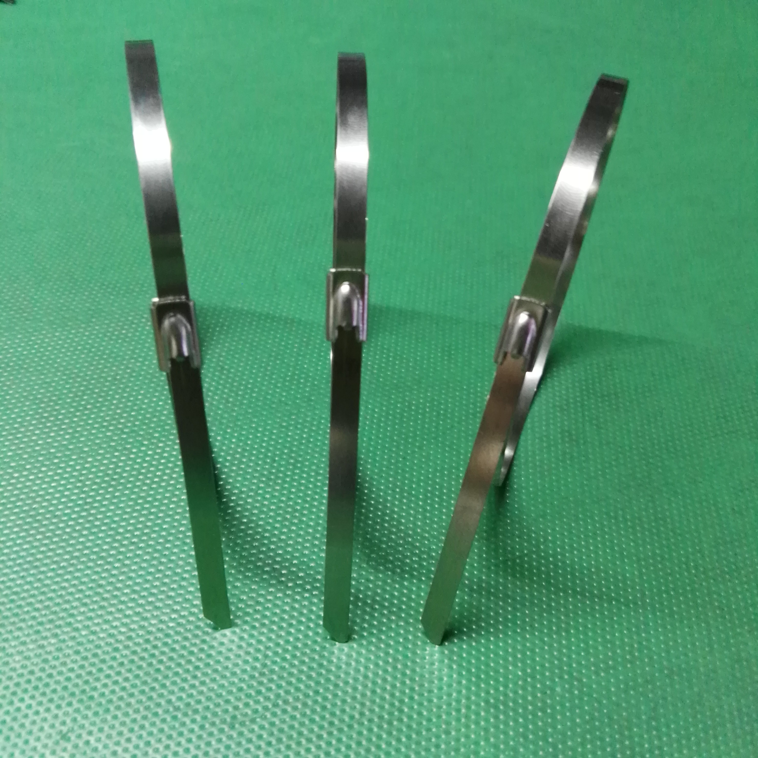 噴塑不銹鋼扎帶圖片/噴塑不銹鋼扎帶樣板圖 (4)