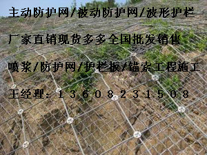 柔性主動(dòng)防護(hù)網(wǎng)圖片