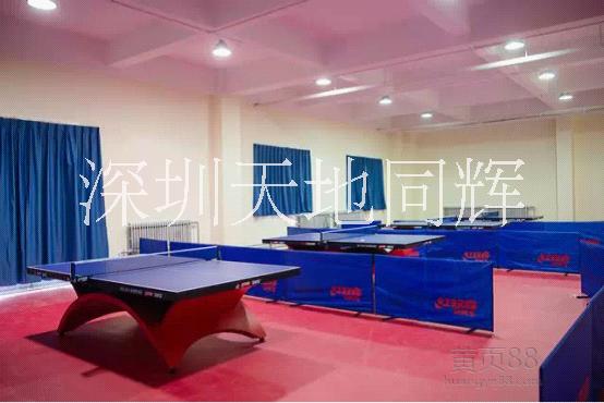 乒乓球圖片/乒乓球樣板圖 (2)