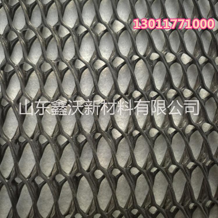 歡迎采購(gòu)鑫沃三維復(fù)合排水網(wǎng) 塑料排水網(wǎng) 三維排水網(wǎng)  隧道排水網(wǎng)