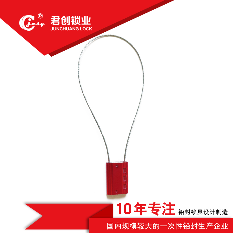 封條集裝箱圖片/封條集裝箱樣板圖 (3)