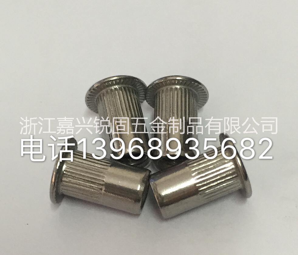 平頭豎紋不銹鋼圖片/平頭豎紋不銹鋼樣板圖 (2)