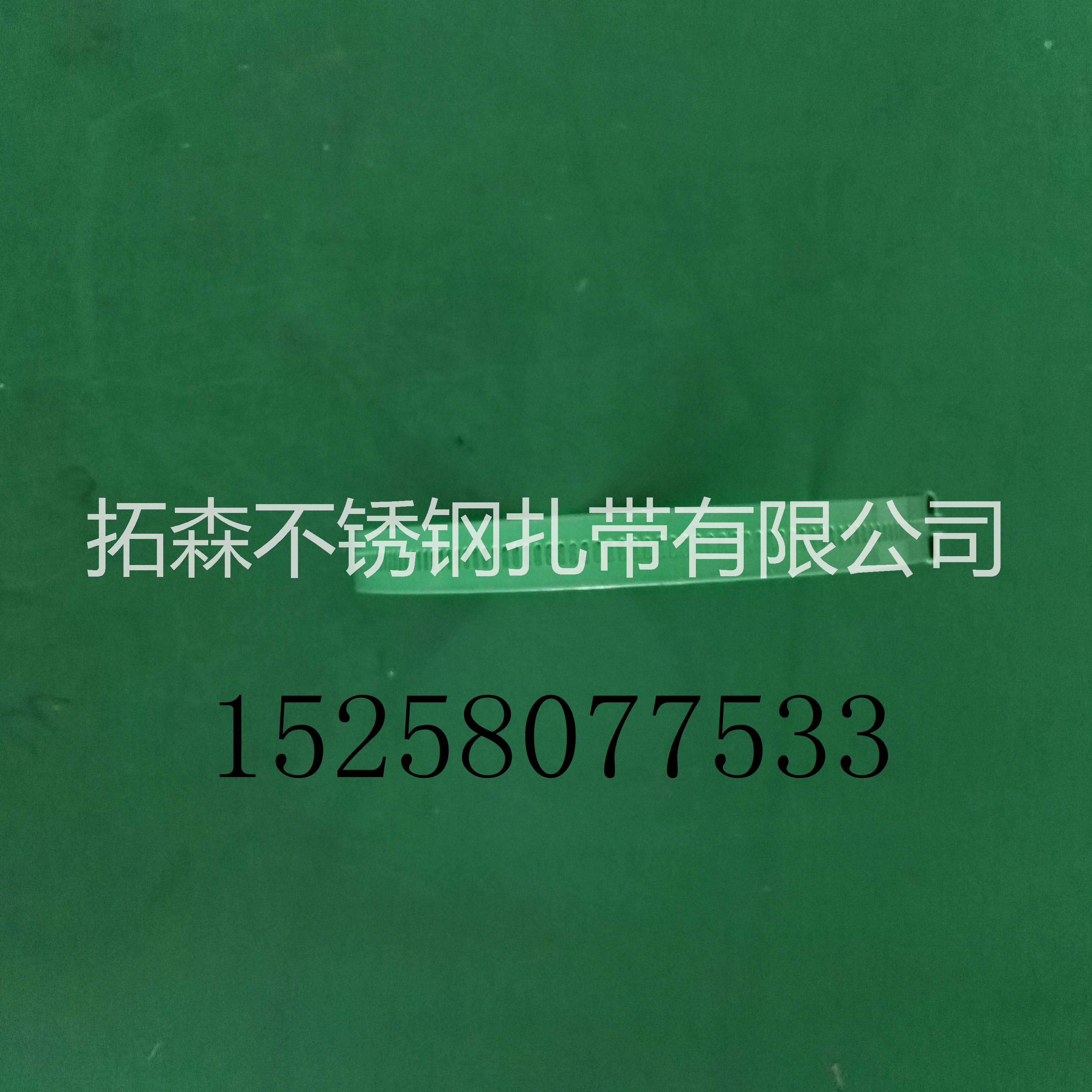 階梯式不銹鋼扎帶圖片/階梯式不銹鋼扎帶樣板圖 (3)