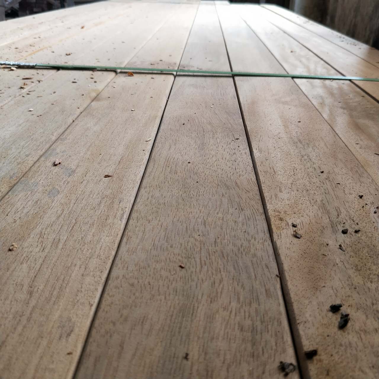 南美菠蘿圖片/南美菠蘿樣板圖 (3)