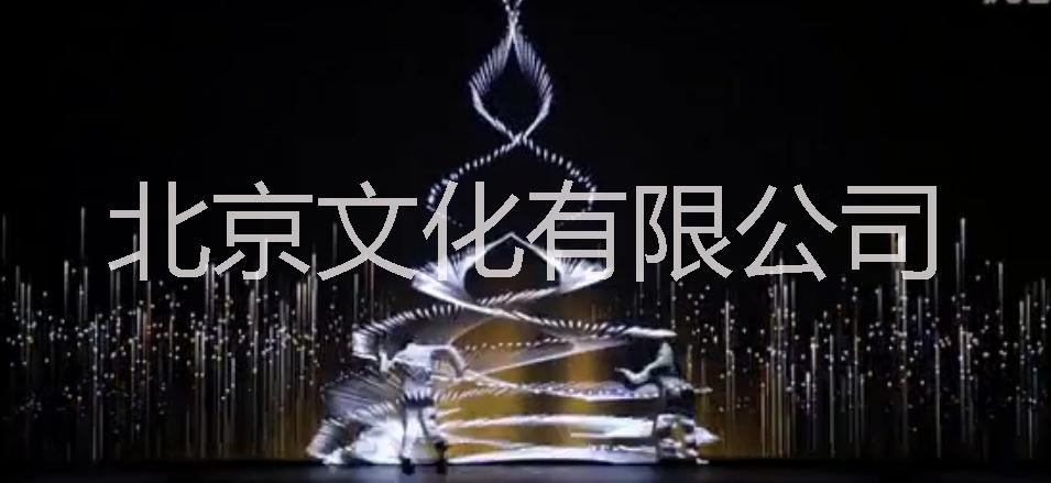 北京演出公司|活動策劃執(zhí)行公司|圖片/北京演出公司|活動策劃執(zhí)行公司|樣板圖 (2)