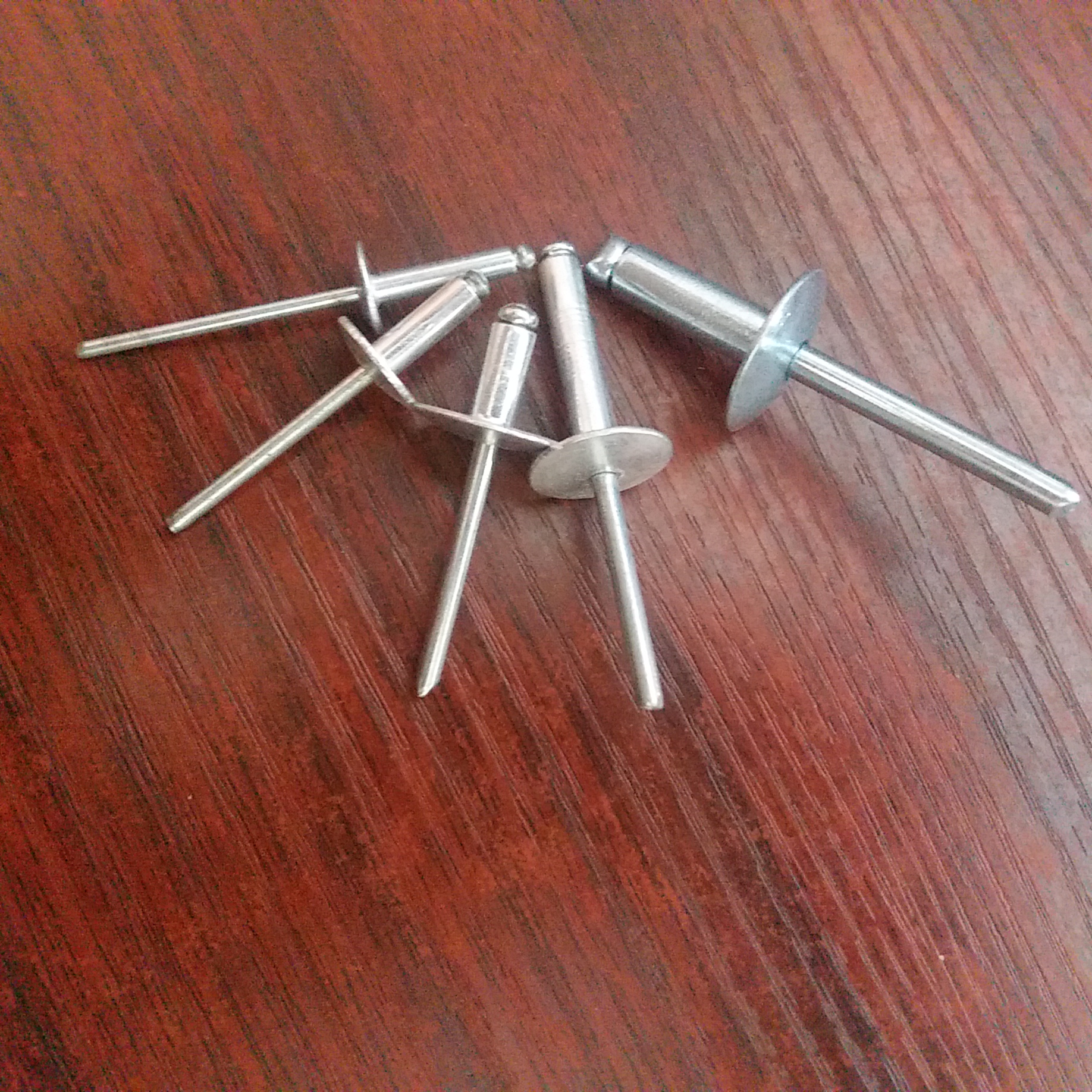 1大帽拉鉚釘圖片