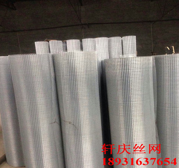 熱鍍鋅電焊網(wǎng)圖片/熱鍍鋅電焊網(wǎng)樣板圖 (4)