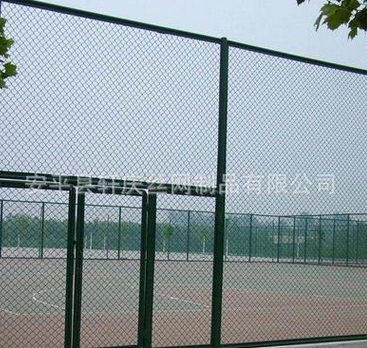 籃球場(chǎng)圍網(wǎng)圖片/籃球場(chǎng)圍網(wǎng)樣板圖 (4)
