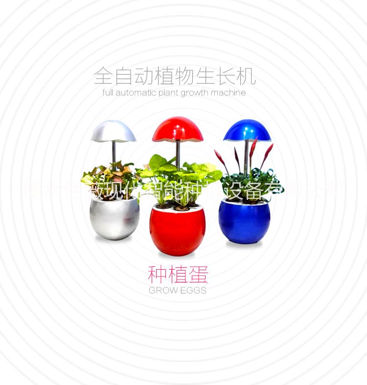 陽(yáng)臺(tái)種菜全智能蔬菜花卉種植蛋種植