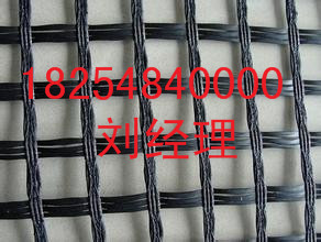 玻纖土工格柵圖片/玻纖土工格柵樣板圖 (4)