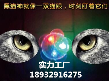 大連驅(qū)鼠器 黑貓驅(qū)鼠器電子貓銷售圖片/大連驅(qū)鼠器 黑貓驅(qū)鼠器電子貓銷售樣板圖 (2)