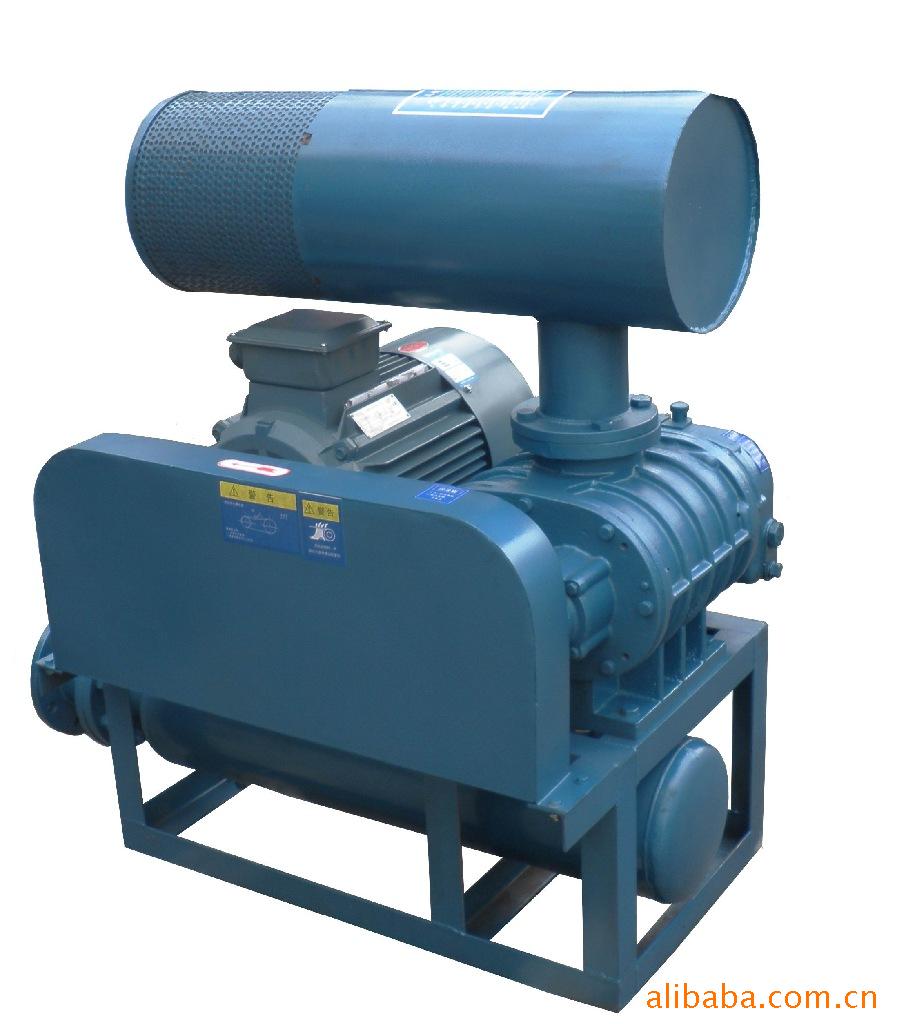 羅茨真空泵，羅茨鼓風(fēng)機(jī)，兩葉羅茨鼓風(fēng)機(jī)，山東兩葉羅茨鼓風(fēng)機(jī)價(jià)格