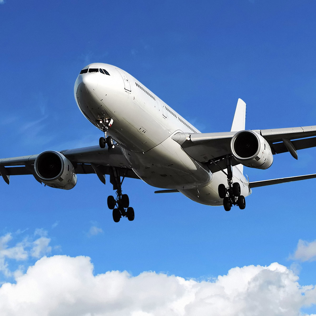 中港進(jìn)出口圖片/中港進(jìn)出口樣板圖 (3)