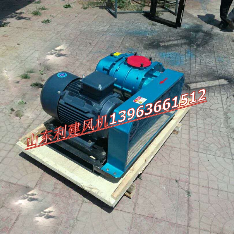 兩葉羅茨鼓風(fēng)機(jī)圖片/兩葉羅茨鼓風(fēng)機(jī)樣板圖 (2)