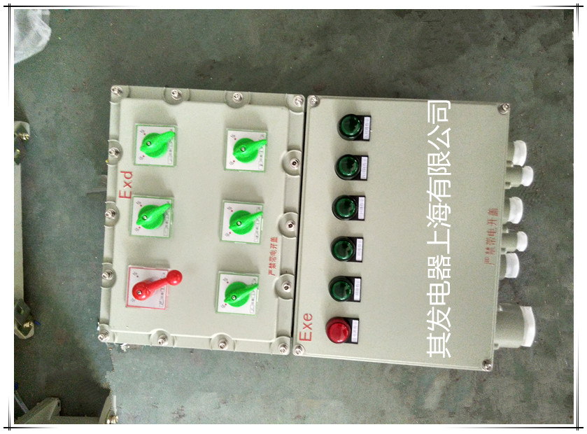 防爆照明動力配電箱圖片/防爆照明動力配電箱樣板圖 (3)