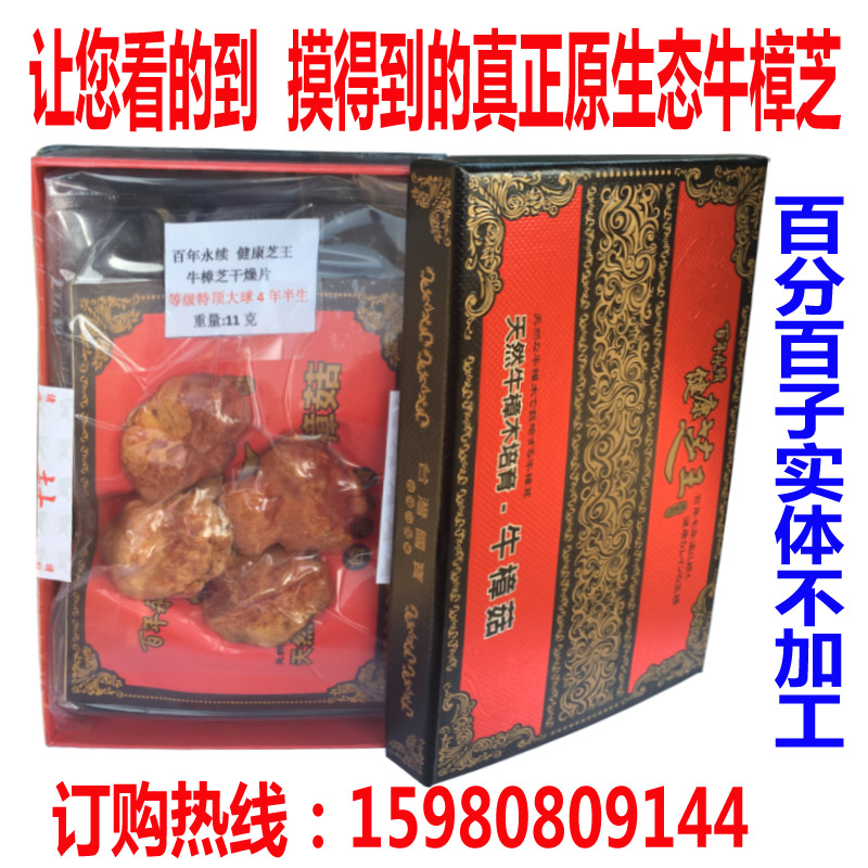 牛樟芝原生態(tài)純牛樟菇原裝進(jìn)口圖片