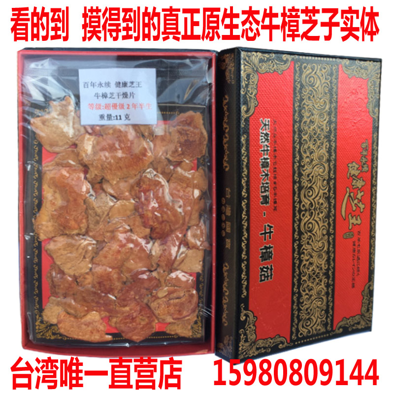 牛樟芝牛樟菇子實體原生態(tài)純的圖片
