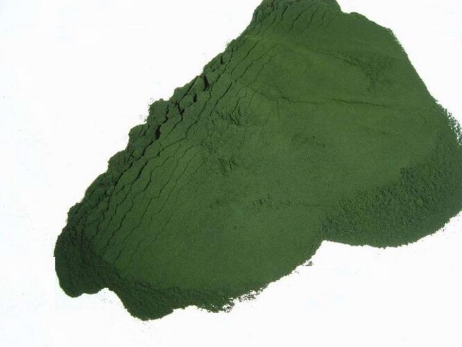 螺旋藻粉圖片/螺旋藻粉樣板圖 (3)