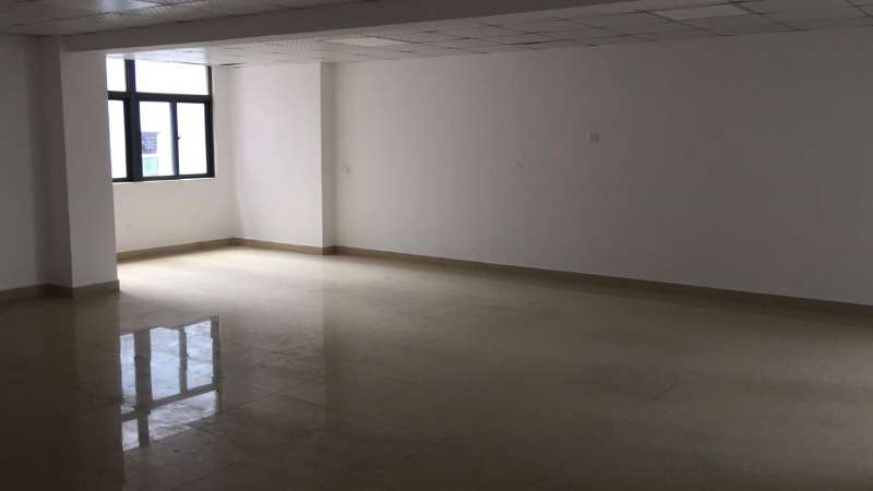 （出租）120平龍華可辦公倉庫圖片