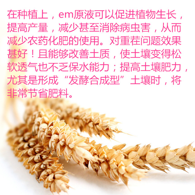 山東EM種植原液價格圖片/山東EM種植原液價格樣板圖 (2)