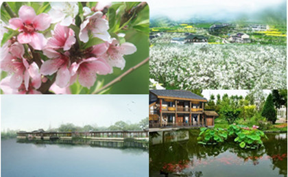 遠(yuǎn)景設(shè)計(jì)院專業(yè)打造特色小鎮(zhèn)規(guī)劃設(shè)圖片/遠(yuǎn)景設(shè)計(jì)院專業(yè)打造特色小鎮(zhèn)規(guī)劃設(shè)樣板圖 (3)