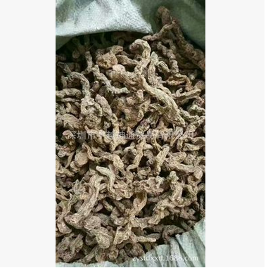 野生圖片/野生樣板圖 (4)