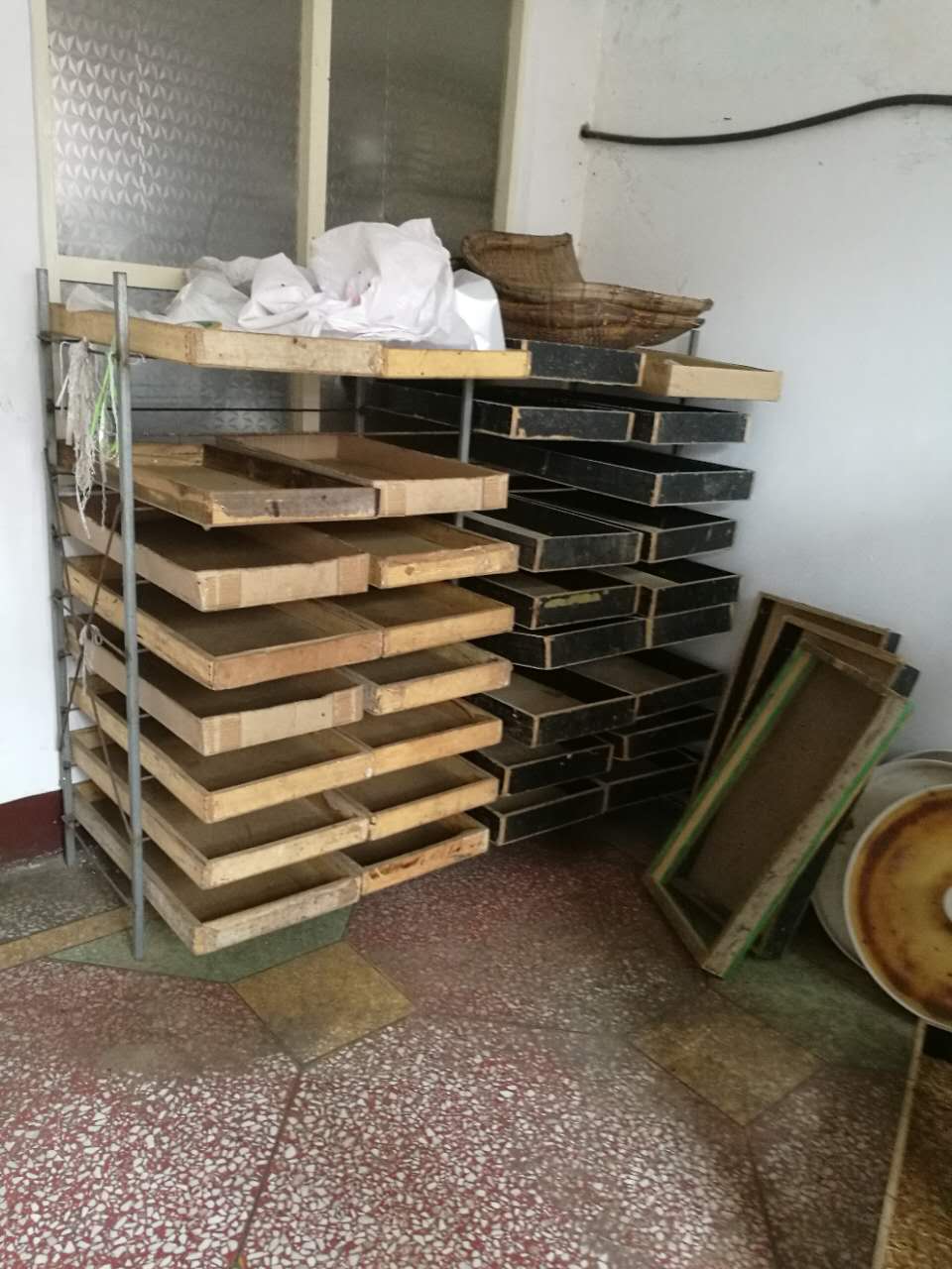 黃粉蟲養(yǎng)殖銷售圖片