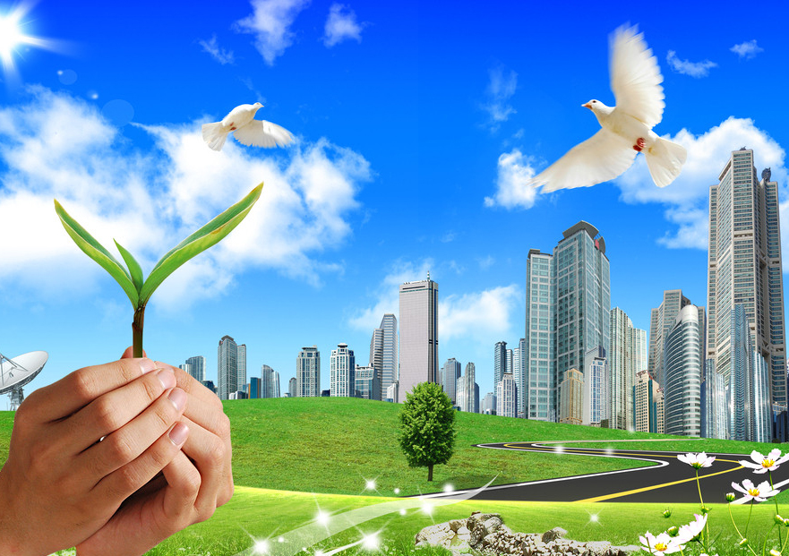 碳纖維電熱線圖片/碳纖維電熱線樣板圖 (1)