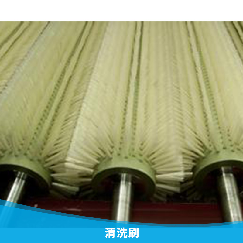 清洗刷 水果蔬菜清洗機毛刷 去皮毛刷 拋光打蠟除塵工業(yè)毛刷輥 歡迎來電訂購