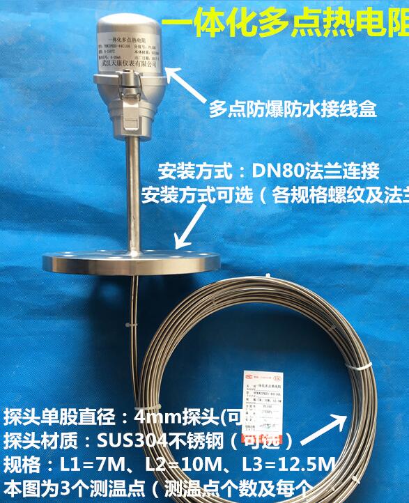 一體化多點(diǎn)熱電阻/PT100 嘉航冠科