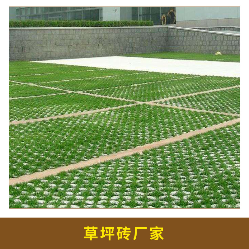 草坪磚廠家直銷優(yōu)質(zhì)草坪磚  八字水泥植草磚 質(zhì)量好顏色全